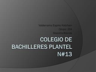 Colegio de bachilleres plantel n#13