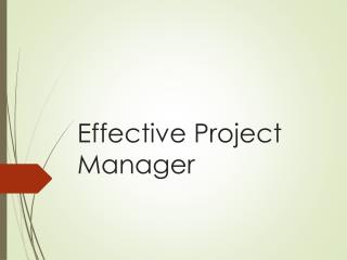 Effective Project Manager