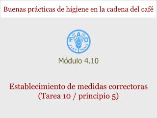 Establecimiento de medidas correctoras (Tarea 10 / principio 5)