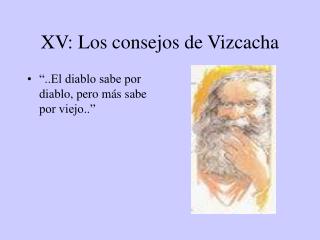 XV: Los consejos de Vizcacha