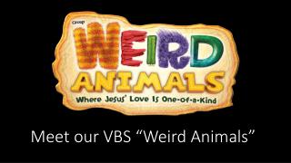 Meet our VBS “Weird Animals”