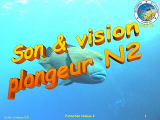 Son &amp; vision plongeur N2