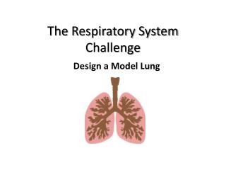 The Respiratory System Challenge