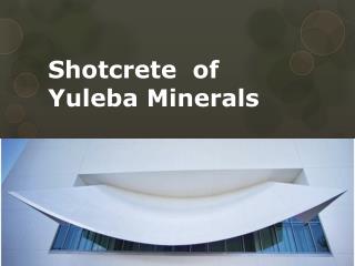 Shotcrete of Yuleba Minerals