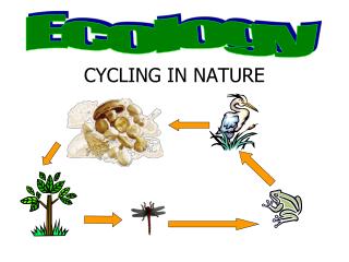 CYCLING IN NATURE