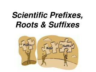 Scientific Prefixes, Roots &amp; Suffixes