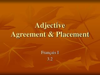 Adjective Agreement &amp; Placement