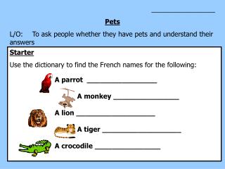 _________________ Pets L/O:	To ask people whether they have pets and understand their answers