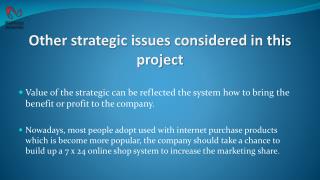 Other strategic issues considered in this project