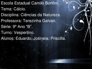 Escola Estadual Camilo Bonfim. Tema: Cálcio. Disciplina: Ciências da Natureza.