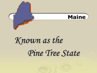 Known as the Pine Tree State