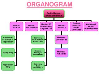ORGANOGRAM