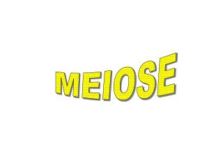 MEIOSE