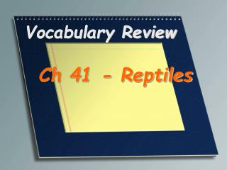 Vocabulary Review