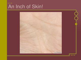 An Inch of Skin!