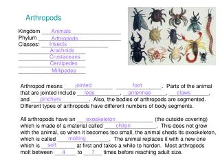 Arthropods