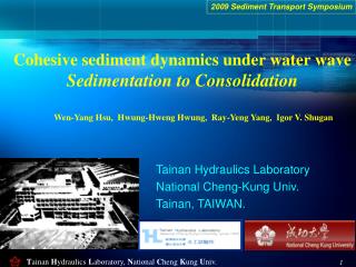 Cohesive sediment dynamics under water wave Sedimentation to Consolidation