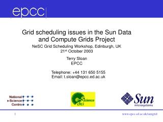 Grid scheduling issues in the Sun Data and Compute Grids Project