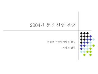 2004 년 통신 산업 전망