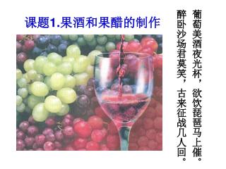 课题 1. 果酒和果醋的制作