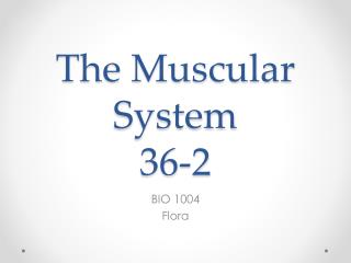 The Muscular System 36-2