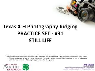 Texas 4-H Photography Judging PRACTICE SET - #31 STILL LIFE