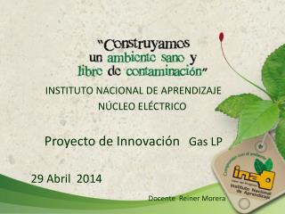 INSTITUTO NACIONAL DE APRENDIZAJE NÚCLEO ELÉCTRICO Proyecto de Innovación Gas LP
