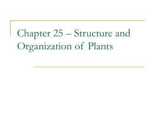 Chapter 25 – Structure and Organization of Plants