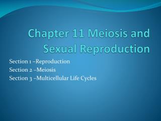 Chapter 11 Meiosis and Sexual Reproduction
