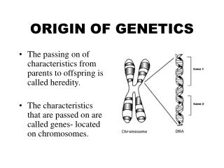 ORIGIN OF GENETICS