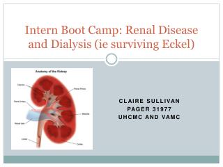 Intern Boot Camp: Renal Disease and Dialysis ( ie surviving Eckel )