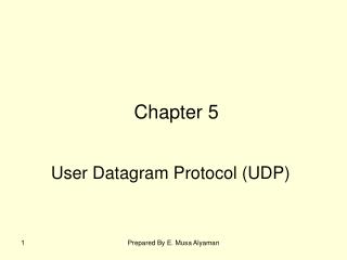 User Datagram Protocol (UDP)