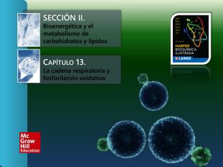 Sección II. Bioenergética y el metabolismo de carbohidratos y lípidos