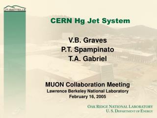CERN Hg Jet System