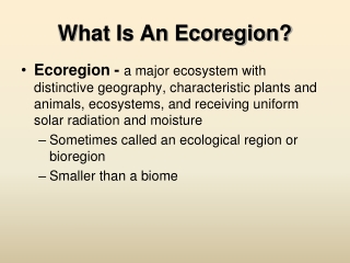 What Is An Ecoregion ?