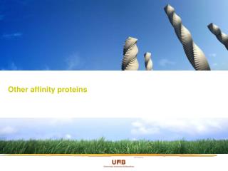 Other affinity proteins