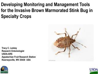 Brown Marmorated Stink Bug is an Invasive Species