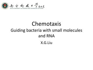 Chemotaxis Guiding bacteria with small molecules and RNA