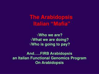 The Arabidopsis Italian “Mafia”