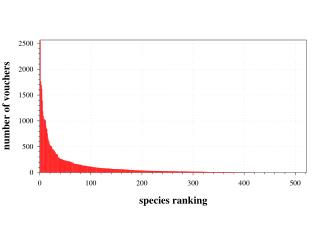 Taxonomic Analysis