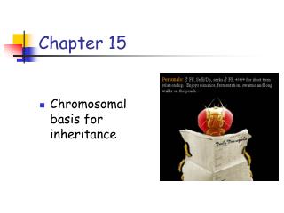 Chapter 15