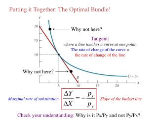 Putting it Together: The Optimal Bundle!