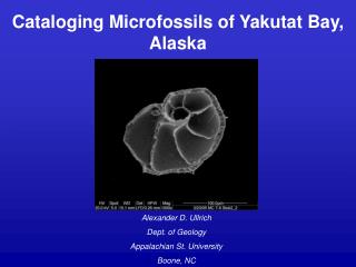 Cataloging Microfossils of Yakutat Bay, Alaska