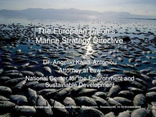The European Union’s Marine Strategy Directive