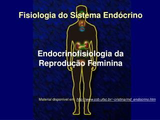 Fisiologia do Sistema Endócrino Endocrinofisiologia da Reprodução Feminina