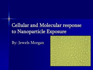 Cellular and Molecular response to Nanoparticle Exposure