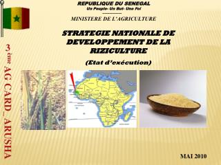 STRATEGIE NATIONALE DE DEVELOPPEMENT DE LA RIZICULTURE (Etat d’exécution)