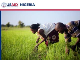Nigeria MARKETS &amp; Bridge to MARKETS II