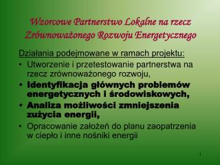 Wzorcowe Partnerstwo Lokalne na rzecz Zrównoważonego Rozwoju Energetycznego