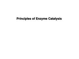 Principles of Enzyme Catalysis